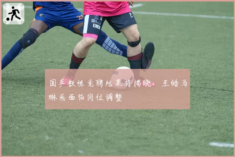 国乒教练竞聘结果将揭晓，王皓马琳或面临岗位调整