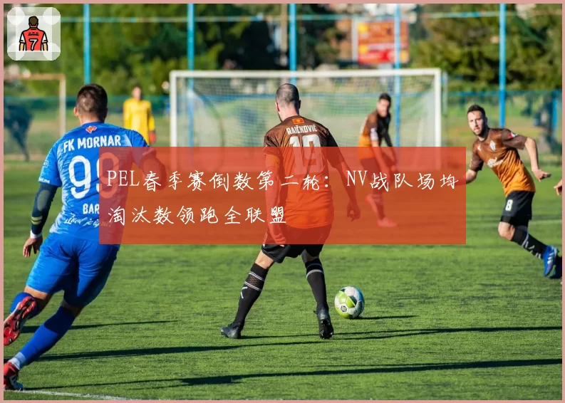PEL春季赛倒数第二轮：NV战队场均淘汰数领跑全联盟