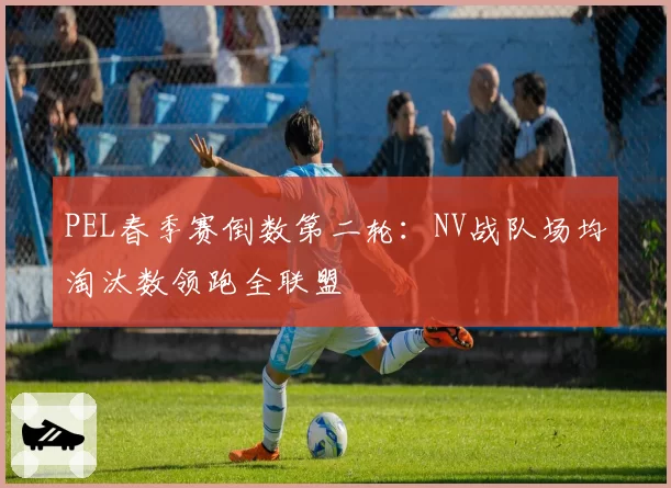 PEL春季赛倒数第二轮:NV战队场均淘汰数领跑全联盟