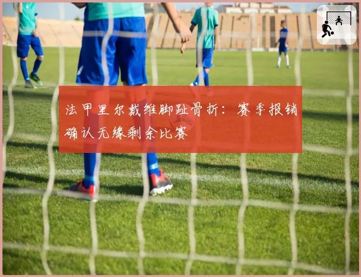 法甲里尔戴维脚趾骨折：赛季报销确认无缘剩余比赛