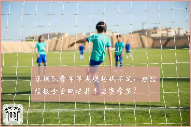 深圳队青年军表现起伏不定，经验短板会否断送其季后赛希望？