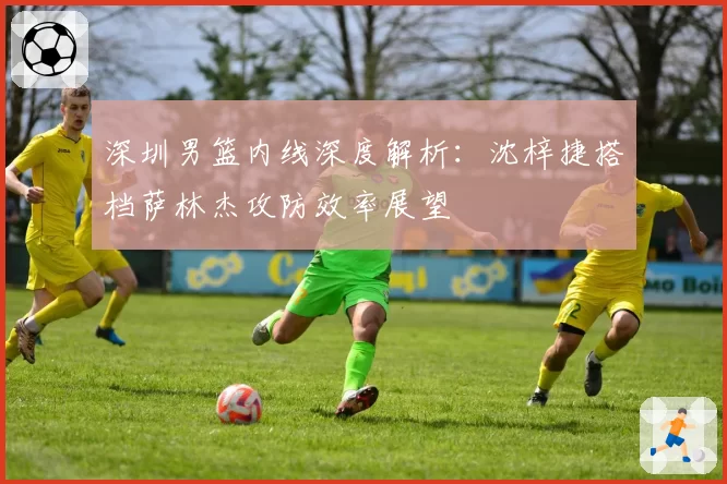 深圳男篮内线深度解析:沈梓捷搭档萨林杰攻防效率展望